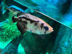 -沈阳海洋探索中心