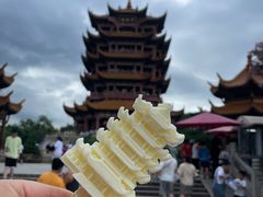 -黄鹤楼公园(黄鹤楼)