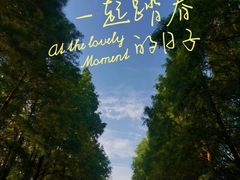 -上海海湾国家森林公园