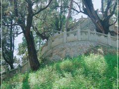 -黄帝陵