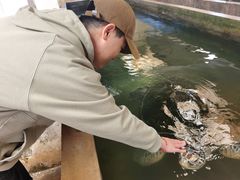 -硇洲岛旅游区