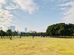 -艾溪湖湿地公园