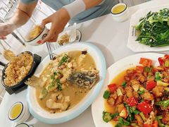 -煲来饱去冷水鱼