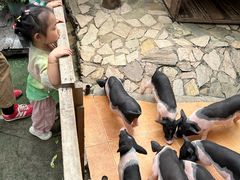 -HERRE·FARM 赫尔露营农场·团建聚会包场