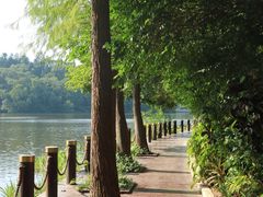 -深圳仙湖植物园-停车场