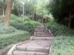 -炮台山公园