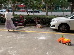 -圆梦证件照拍摄(人民西路店)