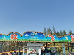 -上海滨江森林公园