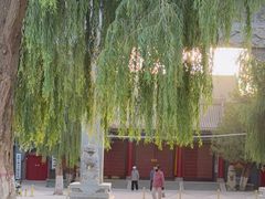 -张掖大佛寺景区