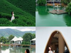 -帐篷客·溪龙茶谷度假酒店