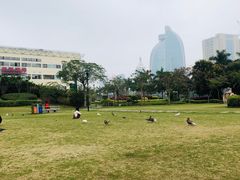 -白鹭洲公园