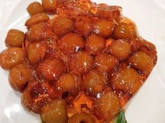 水晶红果-福寿斋·老北京铜锅涮肉·烧烤(清岚店)
