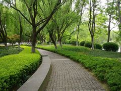 -昆山城市生态森林公园