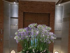 -浅深Cheersum(曹杨店)