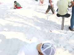 -廊坊固安福朋喜来登酒店