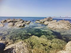 -养马岛旅游度假区