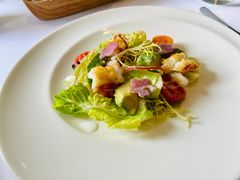 -蝶舍·MAISON PAPILLON