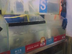 水产区-鱼酷活鱼烤鱼(沈阳大悦城店)