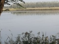 -野鸭湖国家湿地公园