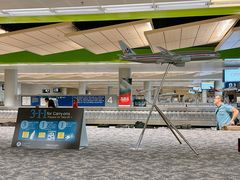 -达拉斯 沃斯堡国际机场