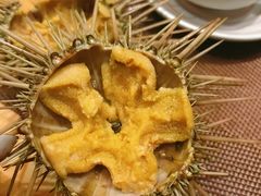 海胆-割烹旭日本料理(龙湖狮山天街店)