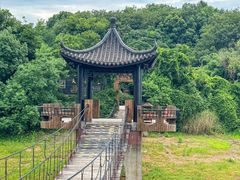 -天目湖山水园