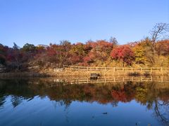 -周口店坡峰岭风景区