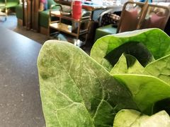 -南门四季铜锅涮肉(大屯·北苑店)