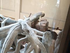 -宁波野生动物园
