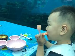 -海棠湾洲际-涛·海底餐厅·美人鱼·自助餐·海底隧道