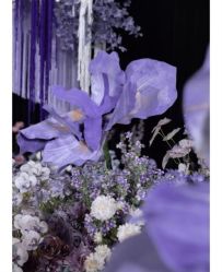 -苏州希尔顿酒店-宴会厅