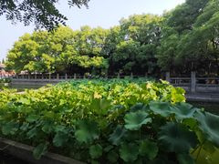 -洛阳白马寺