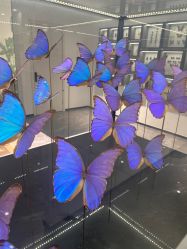 -酷嗒动物文化乐园(cutezoo西溪乐天城店)