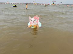 -碧海金沙