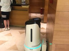 住宿-The Lounge大堂酒廊·咖啡·沙拉·下午茶(金茂深圳JW万豪酒店)
