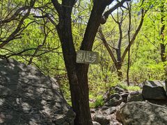 -云岫谷自然风景区