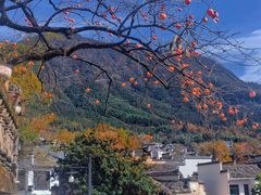 -塔川景区