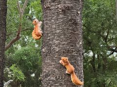 -人民公园(罗湖区)