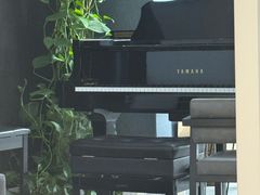 -Melody Mentor音乐私教馆(朝外·悠唐店)