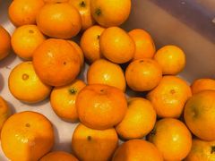 -老哥门肥肠鱼(鱼嘴店)