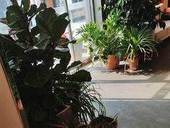 -向外鱼乐·土菜·虹鳟鱼