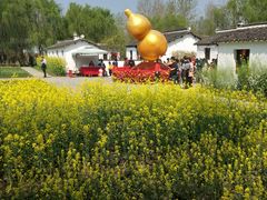 -溱湖国家湿地公园