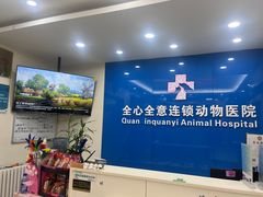 -全心全意连锁动物医院·微创中心·内科急重症·心脏专科(丰管路店)
