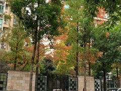 -三圣花乡旅游区