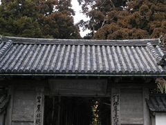 -松岛