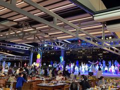 -渔家火锅·海鲜自助餐·演艺(亚龙湾天域酒店)