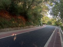 -仙岳公园