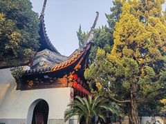 -秋霞圃