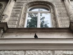 -圣伊什特万圣殿