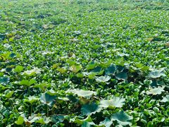 -重元寺香积厨素斋馆